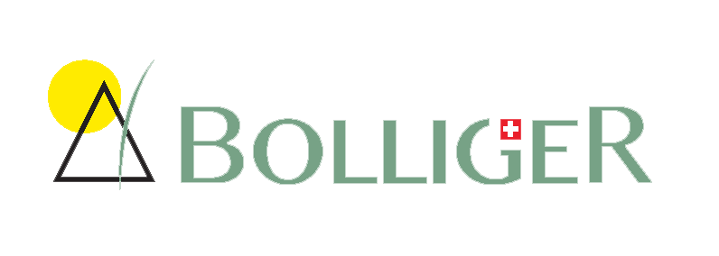 Bolliger